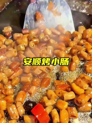 #烤小肠 贵州安顺烤小肠你一定要尝尝,可以炒,煎、炸、烤都嘎嘎香#舌尖上的味道 #贵州特产 #好吃到停不下来 #安顺烤小肠