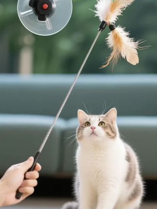 吸盘逗猫棒猫咪用品玩具自嗨解闷钢丝长杆自动逗猫羽毛替换头耐咬#逗猫神器 #逗猫棒 #养猫人