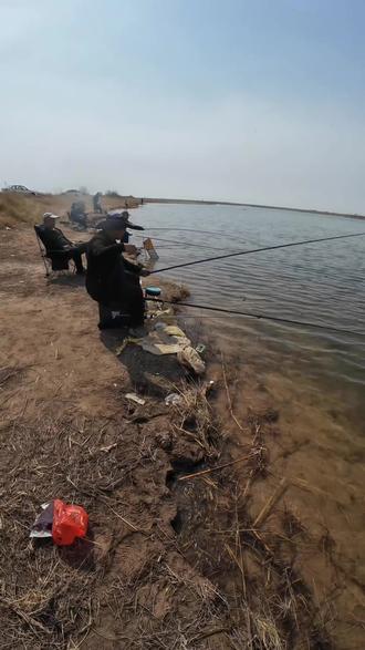 黄河边钓鱼,小鲫鱼。#钓鱼人 #分享钓鱼技巧 #钓鱼技巧 #户外钓鱼 #钓大鱼的史老师