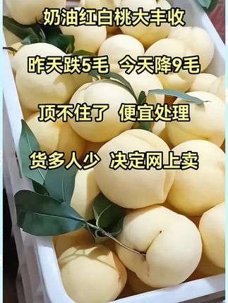 一口沦陷!奶油大白桃也太绝了吧!家人们谁能拒绝这口神仙美味啊?白瓷般的果皮泛着柔光,点缀的嫩绿叶片透着鲜活劲儿,刀刚划开,清甜的汁水就迫不及待地溢出来。咬下去的瞬间,脆嫩果肉在齿间化开,清甜桃汁混着馥郁果香直冲味蕾,从舌尖到心口都被甜蜜填满!不愧是"桃子界白雪公主",每一口都是直击灵魂的夏日暴击!回过神才发现,两三个大白桃已经下肚了!没吃过的宝子听劝,这口人间水蜜桃真的闭眼入,错过真的会拍大腿!#桃子熟了 #白桃 #脆甜多汁 #新鲜应季水果 #好吃到停不下来
