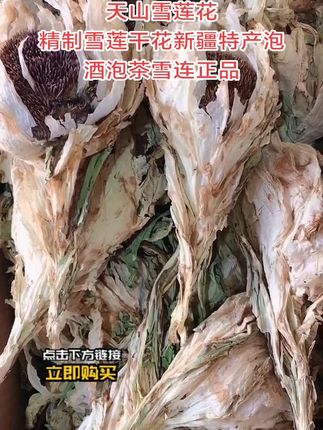 天山雪莲花精制雪莲干花新疆特产泡酒泡茶雪连正品店铺