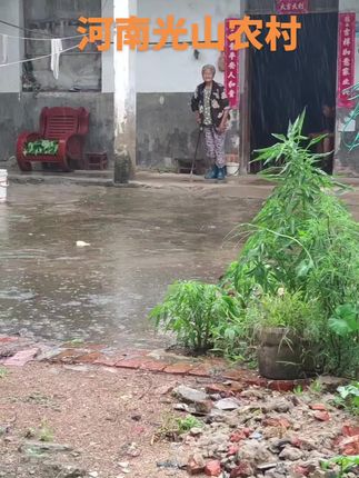 房子虽破,但能挡雨。物质虽贫,可御风寒,这里曾经欢声笑语,是记忆里最温暖的地方#乡愁记忆 #老房子的回忆 #我的乡村生活 #下雨天