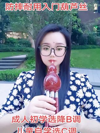 葫芦丝成人初学选降B调,儿童自学选C调,学校根据老师要求选购 #葫芦丝 #防摔葫芦丝#入门葫芦丝 #降B调葫芦丝 #C调葫芦丝