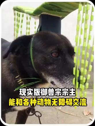 御兽宗宗主??#萌宠 #动物保护 #好玩