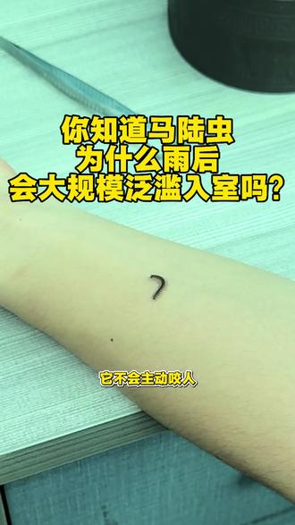 你知道马陆虫为什么雨后会大规模泛滥入室吗? 马陆虫俗称千足虫,喜欢阴暗潮湿环境,靠潮湿土壤、枯枝落叶存活,暴雨天气会冲刷破坏其户外栖息地,被迫集体爬进家中避险。它不会主动咬人,但受惊吓会分泌刺激性毒液,沾到皮肤易红肿发痒,家中爬行还会污染衣物食物。一招教你灭防 #马陆 #马陆虫 #千足虫 #马陆虫千足虫 #马陆虫有毒吗