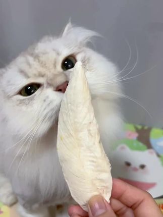 一整块鸡小胸冻干直接拿捏小猫咪 #养猫新手 #萌宠好物 #宠贵诺#宠贵诺鸡小胸冻干 #猫零食