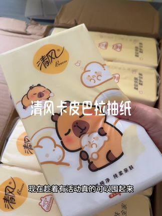 清风和卡皮巴拉联名的悬挂式抽纸真的太好看太划算了,这么一提得用大半年#抽纸 #悬挂抽纸#四层亲肤柔实力