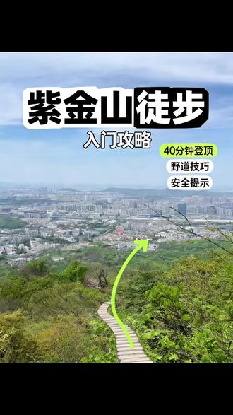 紫金山徒步入门级之大石壁路线 全程大约40分钟左右 #户外爬山 #徒步登山 #紫金山徒步