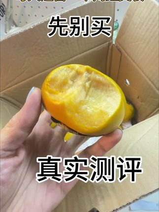 先别买 真实测评 跟风买的巧克力脆柿子,测评一下真实反馈#应季水果 #脆柿子 #真实测评 ,自己吃口感不错,挺脆挺甜也不涩,品相一般,适合自己和家人吃,不适合送礼