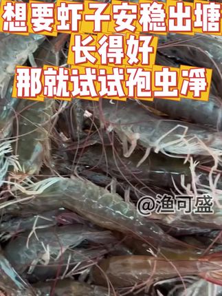 #孢虫净 预防孢子虫 拍5发6,厂家直发#肝肠孢子虫 #对虾养殖 #美好中国丰收季 #渔可盛
