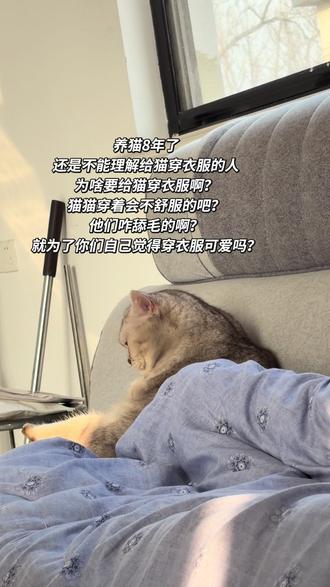 每次刷到猫咪穿衣服的视频我都会很疑惑,甚至有的猫咪的衣服都不合身,走路看着都别扭,主人还拍的很开心。#猫咪 #养宠 #宠物 #猫咪穿搭 #宠物知识