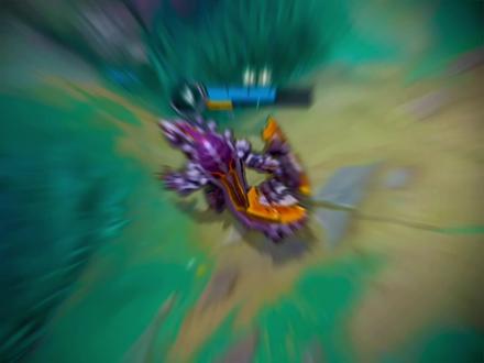 #雷克顿 看来还是我更胜一筹。