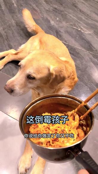这倒霉孩子😂 #日常vlog #vlog十亿流量扶持计划 #这口火鸡面超过瘾