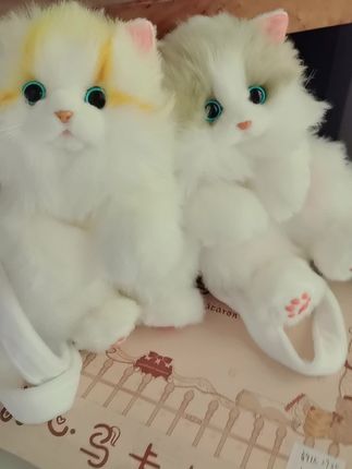 好可爱啊#超级可爱的小猫咪 #萌宠 #可爱 #猫 #喵咪