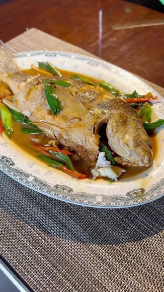 #抖音二创激励计划 听说这是福建人的月子鱼,家烧也很好吃,味道鲜美,肉质细嫩#黄翅鱼 #好吃的鱼