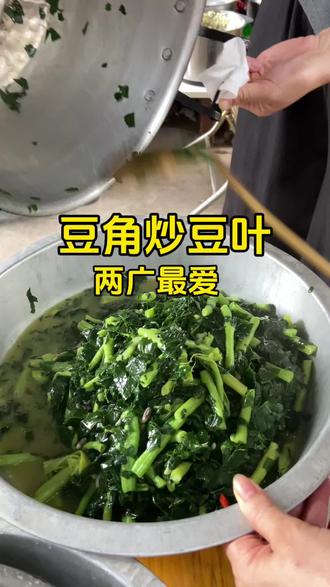 谁懂啊!两广人从小吃的豆角豆叶,外地基本没见过 #豆角豆叶吃法 #两广特色美食 #农家家常菜 #家乡味道 #配白粥