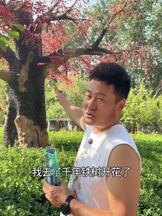 我去了,千年铁树既然开花了🌼,赶紧吃点猪油渣压压惊#太好吃了 #猪油渣#青岛脂渣 #开袋即食 #零食推荐