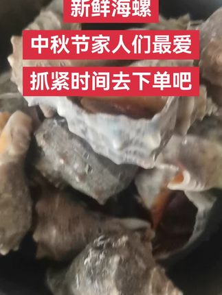鲜活的海螺,中秋节的最爱,小主们抓紧时间去下单啦#快来一起尝个鲜 #海鲜水产 #抖音推广 #新鲜好食材