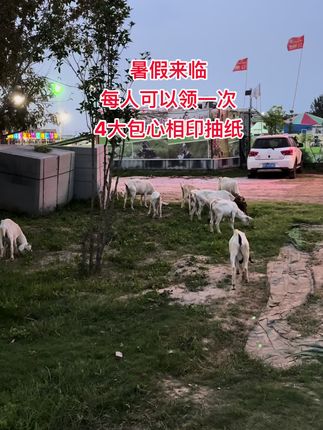 姐妹们快快快心相印抽纸来啦,每人可以领一次,这个价到手4大包抽纸,快薅呀#柔软亲肤,#新人福利第一单#超便宜超划算 #我可真会买,#无限回购的宝藏单品 纸巾