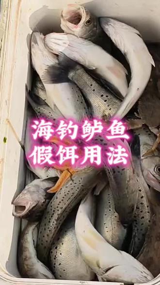 海钓鲈鱼假饵用法技巧#钓鱼#钓鱼人#钓鱼人就是这么疯狂 #钓鱼技巧 #钓海鱼