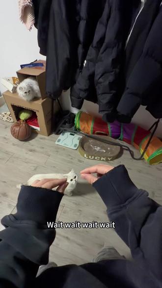 #味道好极了你们想吃吗 记录我的美好生活。吃!汤!饭了!!!