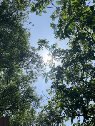 在不期待的时候,一切反而变得顺利。