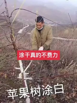 涂杆神器 #涂杆#涂杆神器 #涂杆器 #涂白剂 #涂白剂配方大全