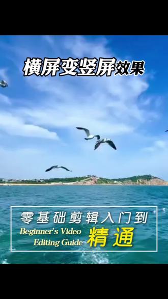 今天分享剪辑技巧“横屏变竖屏” 很实用的“横屏变竖屏”教程来了! #剪辑教程 #手机剪辑 #零基础学剪辑 #视频剪辑 #创作者扶持计划