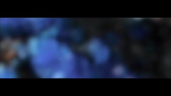 “今生做头好猪来世做个好人”