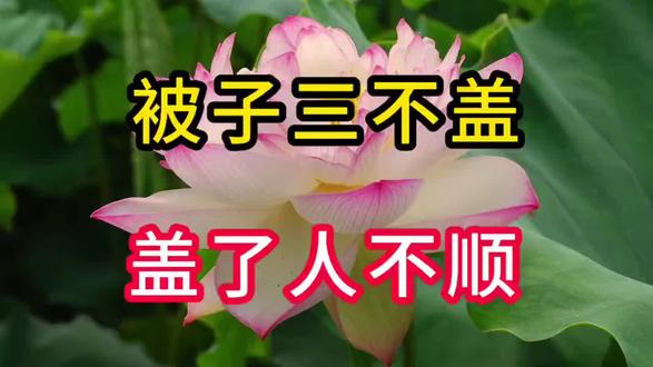 老话说:被子三不盖,盖了人不顺,到底是哪三种被子?