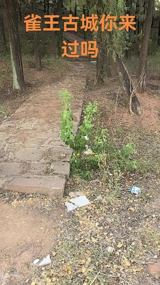 新沂北沟境内雀王古城探秘