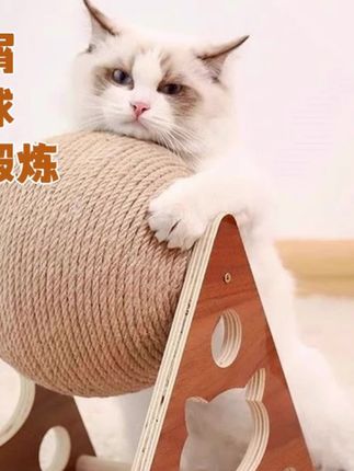 猫抓板立式猫抓球耐磨大号自嗨解闷猫咪玩具猫爬架宠物用品#猫咪玩具 #猫咪玩具推荐 #猫咪玩具diy #猫咪玩具推荐 #猫咪玩具