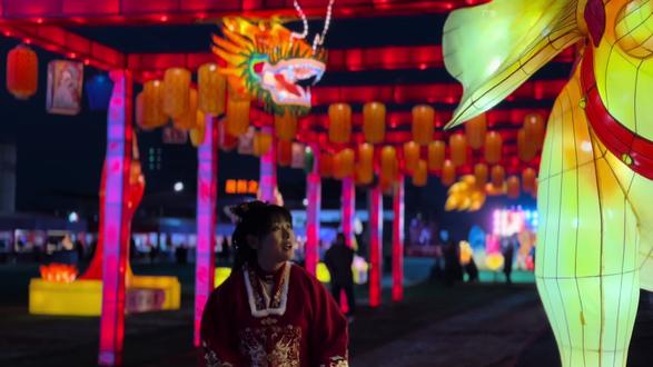 2026顺义新春花灯灯展大世界|新春游玩必打卡 #顺义灯会大世界#亲子游玩#灯会#游玩春节攻略#春节景区抢人大战开启