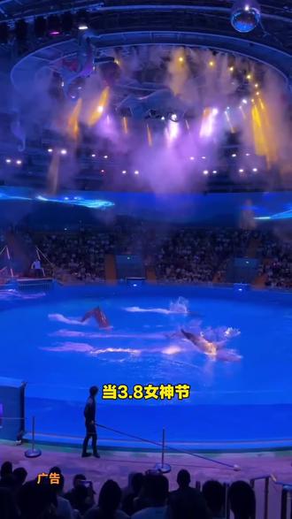 郑州海昌海洋公园女神节,女士门票只要99,夜场门票也只要99,活动这么给力赶快安排#郑州海昌 #郑州海昌海洋公园