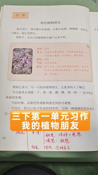 三下习作第一单元我的植物朋友,这样写条理清晰语言优美,会让老师眼前一亮#写作文 #桃花 #我的植物朋友作文
