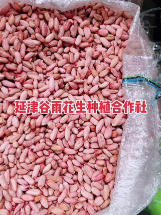 生瘪花生米#优质农产品 #我的乡村生活 #好货推荐 #抖音农产品