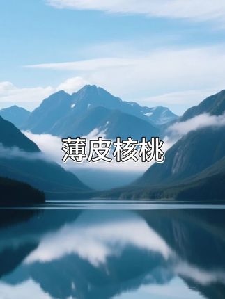 #核桃 #核桃推荐 #薄皮核桃 #薄皮核桃推荐 #木森大舞台
