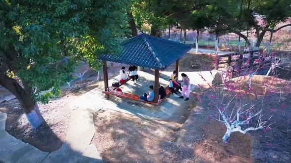 郁南大王山的桃花开了