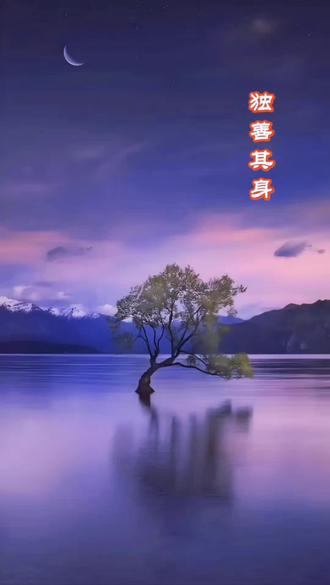 《心有山海,何必合群》愿我们在独处中自守本心,不迎合世俗,于孤独中自爱自洽,独善其身#情感文字 #独处自愈#成年人的独处#享受孤独#人生感悟