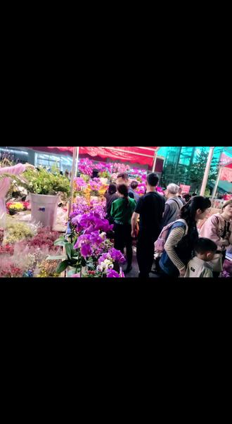 2026年2月14日晚上,前往广州体育中心逛花市,看看看买买买花,漂亮人更多,生意好,天气更好,人缘更旺人气旺生意兴隆,发大财。
