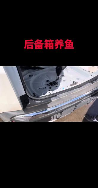 后备箱漏水,原来是这里的问题,教你不换任何东西搞定#法系车维修 #郴州法系车专修 #修车