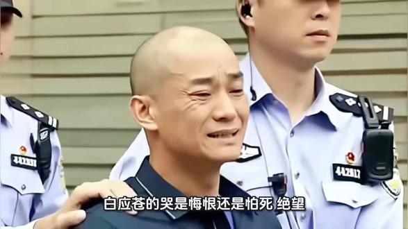 白应苍的哭是悔恨还是怕死,绝望?