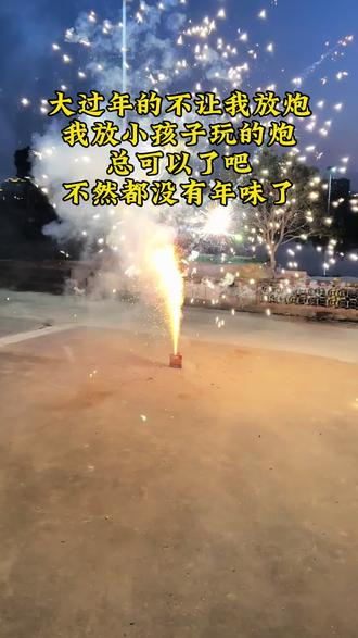 这大过年的农村也不让放炮了,时代在进步我们真的老了,来放点小孩子玩的炮,不然都不知道是过年了#过年禁止放炮 #年味 #郎溪