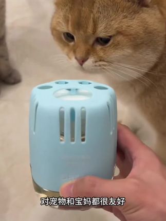 这个网易严选的香氛真的好用,整个家里都香香的 #萌宠好物 #养猫好物 #网易严选香氛 #除臭