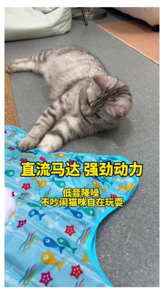 新款多功能猫咪捕猎神器 #猫玩具 #逗猫神器 #铲屎官的乐趣 #萌宠好物#猫咪自嗨