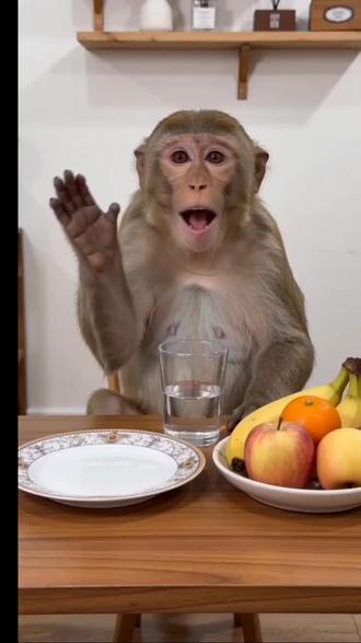#猴子吃播#第一期#内容由AI生成#无不良引导