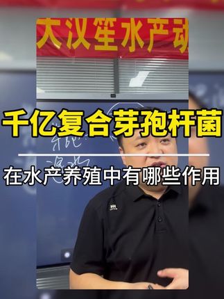 千亿复合芽孢杆菌 在水产养殖中的作用#水产养殖 #水产人 #水产养殖技术