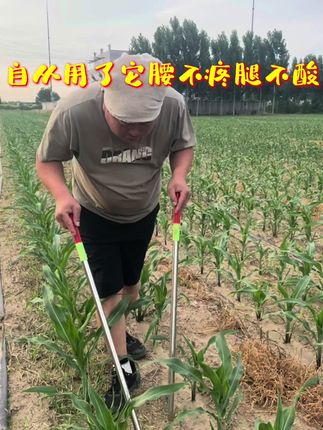 自从用了掰苞米牙子小神器腰也不疼了腿也不酸了 #三农工具 #农民真辛苦 #掰玉米丫子