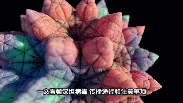 一个视频带你了解汉坦病毒
#汉坦病毒#汉坦病毒科普#病毒#除虫灭鼠#公共环境杀菌消毒#有害生物防制培训