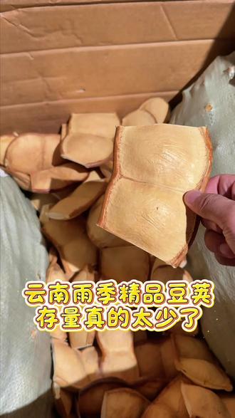 云南到了雨季精品豆荚真的特别少了! #豆荚#豆荚娃娃#豆荚批发#手作店#糊里糊涂豆荚娃娃